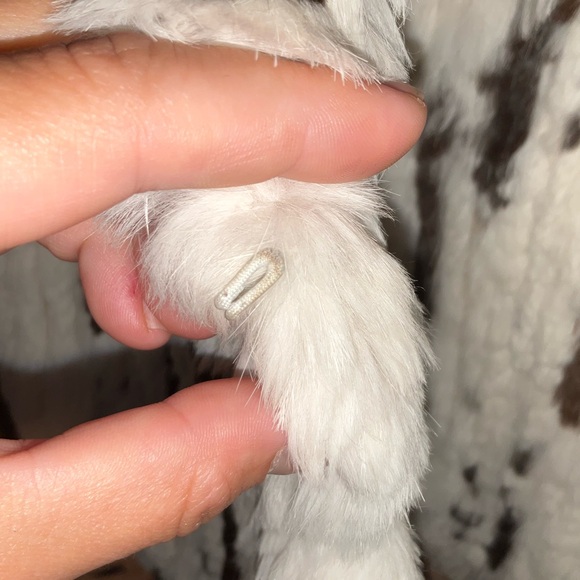 🐰 VTG Handmade Rabbit Fur Vest - Picture 8 of 12